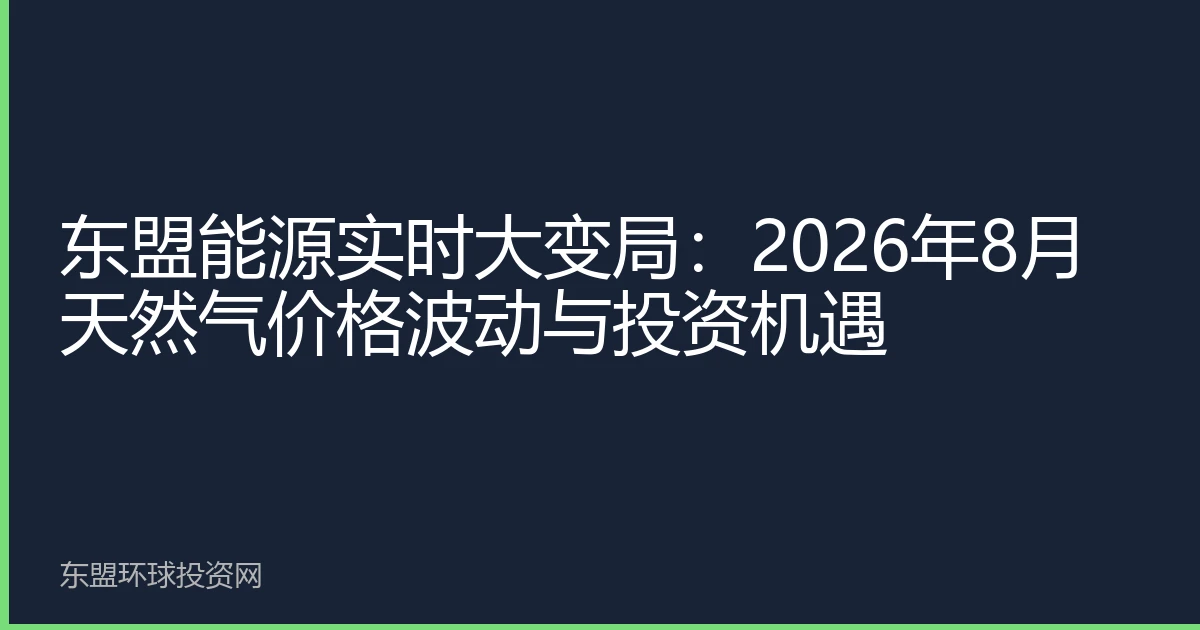 东盟能源实时大变局：2026年8月天然气价格波动与投资机遇