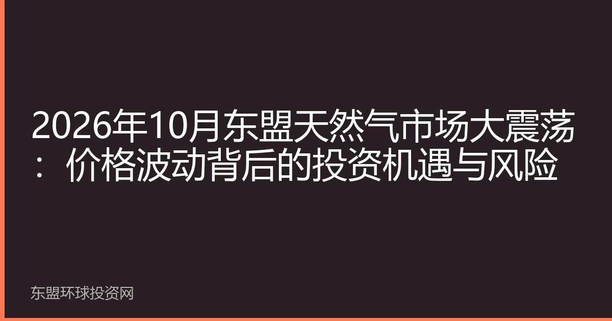2026年10月东盟天然气市场大震荡：价格波动背后的投资机遇与风险